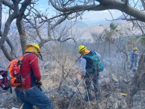Brigadas atienden incendio forestal en Cohetzala, Puebla.