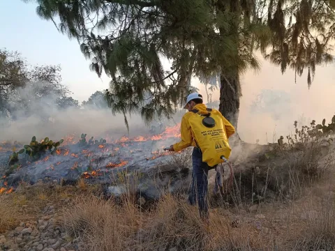 El estado de Puebla mantiene activo cinco incendios forestales.