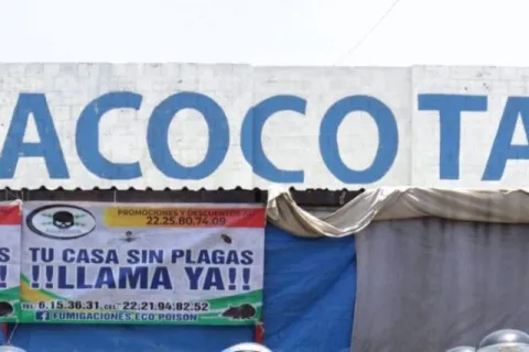 acocota