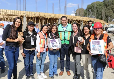 armenta-seres sintientes