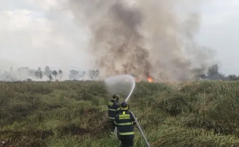 Cerca de ocho hectáreas afectadas deja incendio en Xochimilco.