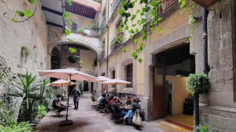 mandrake-café zócalo