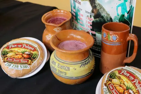 Todo listo para el Ecofestival del Pulque y Maguey en San Juan Raya.