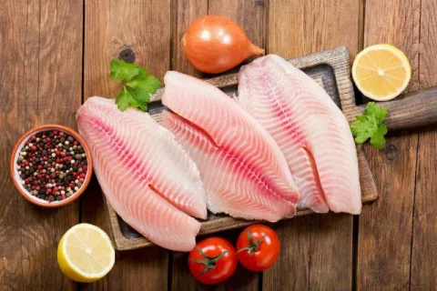 tilapia