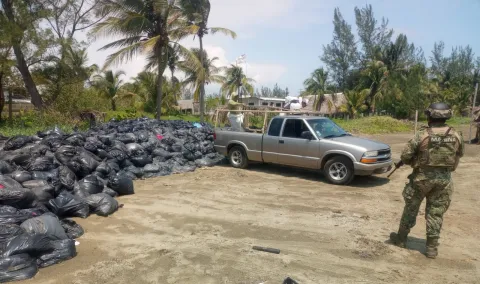 Dejan costales de sargazos en playas de Pajapan, Veracruz.