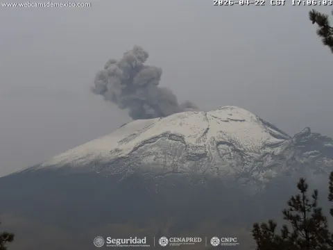 Popo