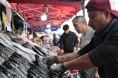 Alertan a cuidar la preparación y conservación de pescados y mariscos.