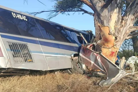 Trágico accidente carretero en Querétaro, hay nueve personas muertas.