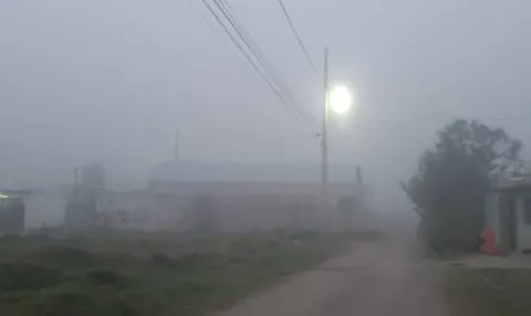 neblina