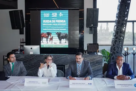 Gobierno de Texmelucan ha sido omiso al retiro de caballos carretoneros.