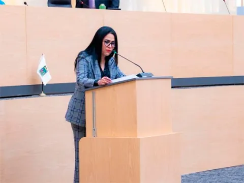 alimentario diputada