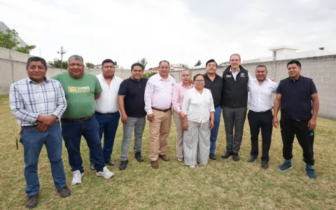 chdraui-ediles auxiliares