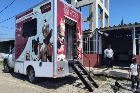 consultorio veterinario-atlixco