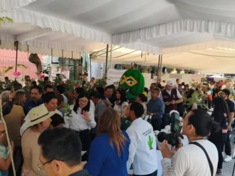 feria