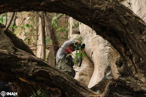pinturas