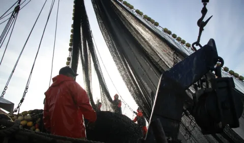 Establece Conapesca volúmenes de captura para sardina, anchoveta y macarela.