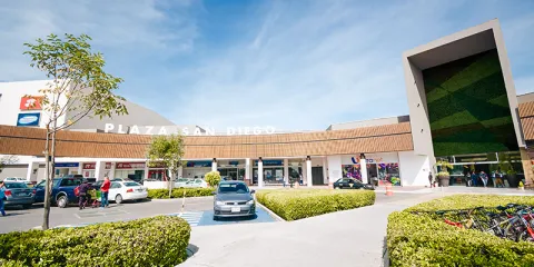 ds