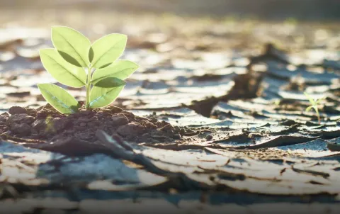 Salud impulsa investigación y acción comunitaria frente al cambio climático.