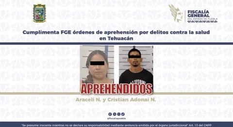 fdfd