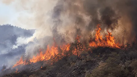 Redes sociales