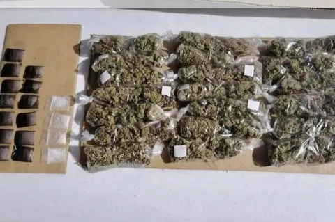 En Saltillo, Coahuila, aseguran más de 700 kilos de marihuana.