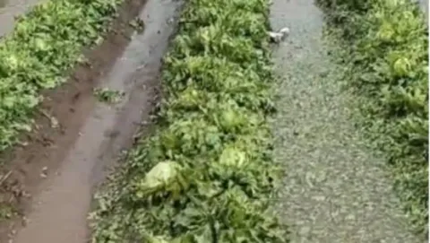 lluvias