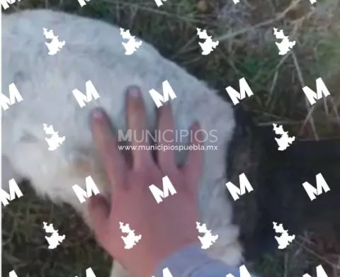 sdsd