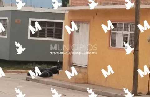 sdsd