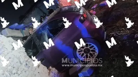 dsd