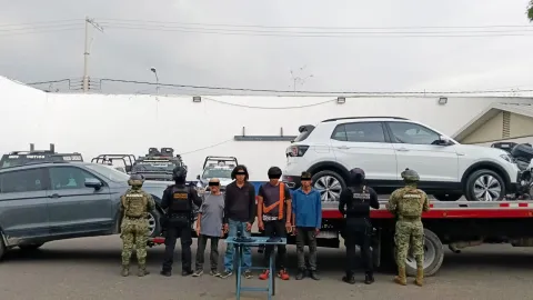 dfdf