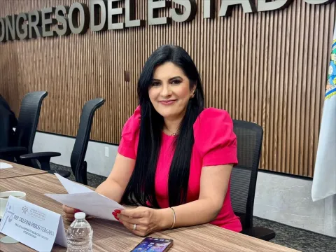 diputada