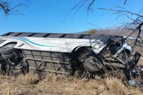 autobus