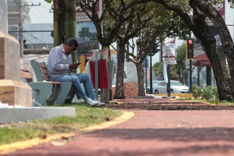 Instalan bancas y jardineras en el Paseo de los Campeones en Puebla.