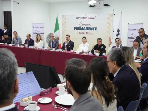 comisión permanente