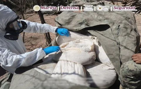 Localizan e inhabilitan tres laboratorios clandestinos en Sinaloa.