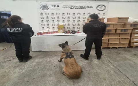 En Michoacán aseguran metanfetamina oculta en paquetes de dulces.