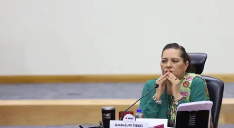 guadalupe taddei-sdp