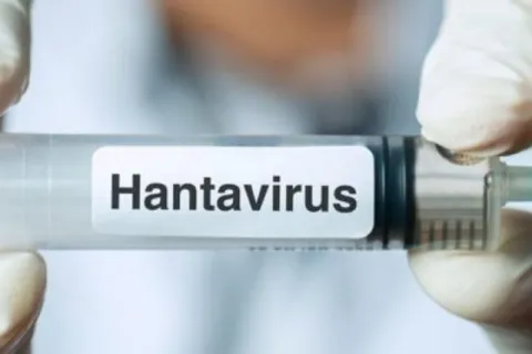 hantavirus