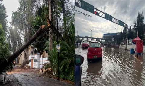 Árbol caído, inundaciones y autos varados, las afectaciones en Puebla.
