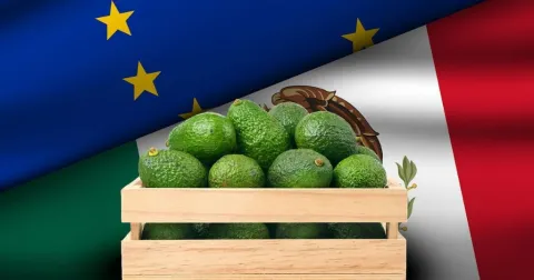 méxico-unión europea