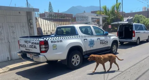 Encuentran si vida a doctora poblana en su casa en Orizaba, Veracruz.