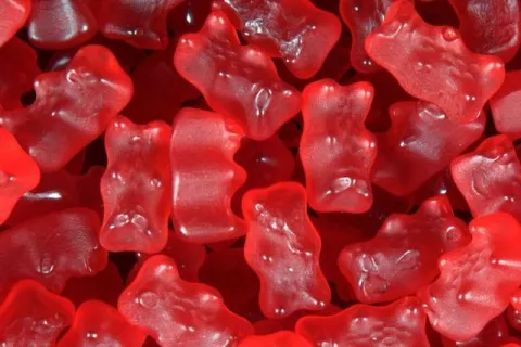 panditas