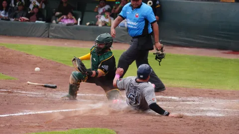 Tigres rescata el último de la serie en el Hermanos Serdán ante Pericos.