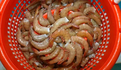 camaron