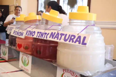Entrega IMPI Indicación Geográfica del pulque a Tlaxcala.