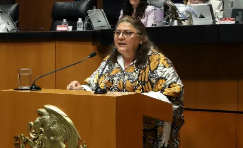 rosario robles
