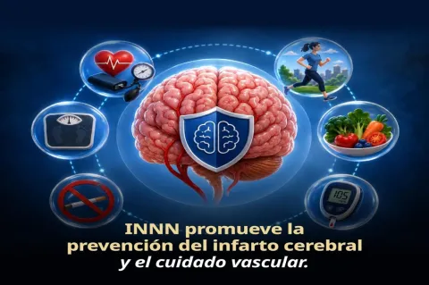 INNN promueve la prevención del infarto cerebral y el cuidado vascular.