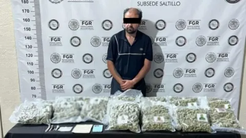 En Coahuila, detienen a una persona y aseguran más de 700 kilos de marihuana.