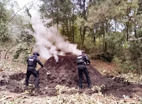 Policía Forestal de Puebla destruye 11 hornos clandestinos para deshidratar madera.