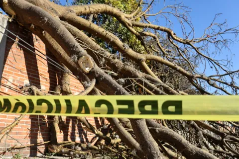 Activan Alerta Amarilla por pronóstico de vientos fuertes en la CDMX.